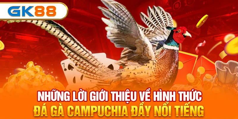 Những lời giới thiệu về hình thức đá gà Campuchia đầy nổi tiếng 